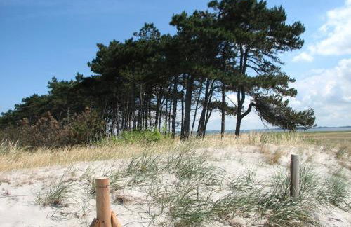 Hus-Hiddensee - Foto 13