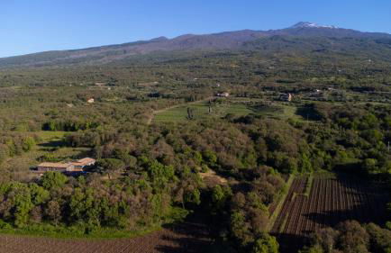 Parco Statella - Foto 15