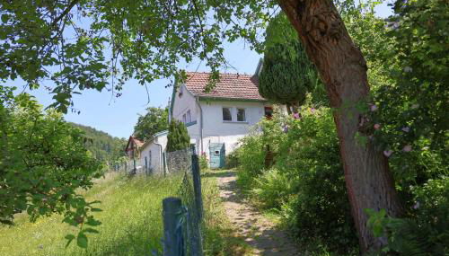Haus im Grünen - Foto 2