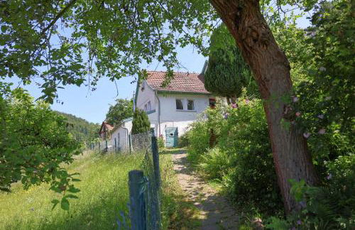 Haus im Grünen - Foto 2