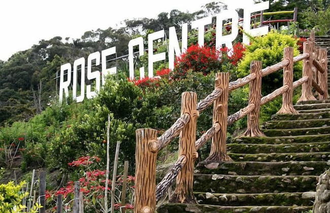 Aaron Apartment at Crown Imperial - Foto 12