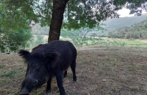 Apartamentos El Madroñal - Foto 61