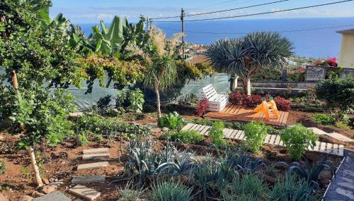 Dr. Cabral Barreto - Foto 3