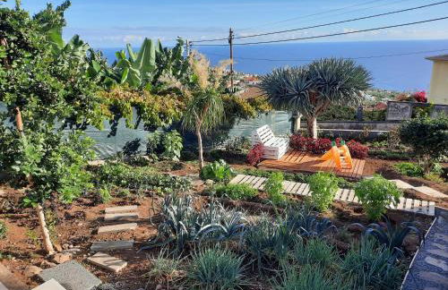 Dr. Cabral Barreto - Foto 3