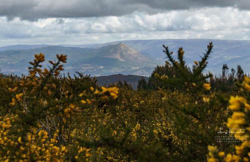 Azenha da Lavoura em Barrega - Foto 68