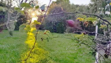 Felicità - Longère with swimming pool and large garden - Photo 4, Garden, Garden view