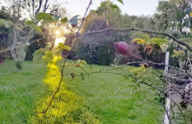 Felicità - Longère with swimming pool and large garden - Photo 4