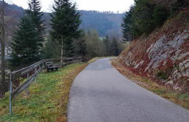 Ferienwohnung "Hirschlein" im Schwarzwald - Foto 40