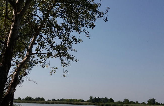 Mikin dol Baranja Country House - Foto 46