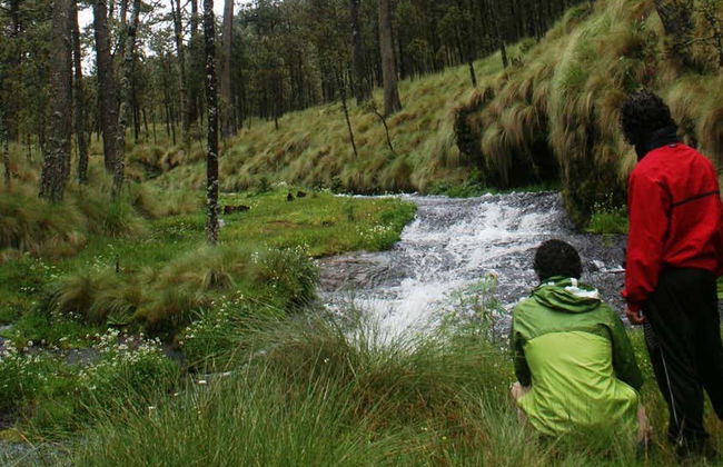 Paso de Cortés Hiking Excursion - Foto 5