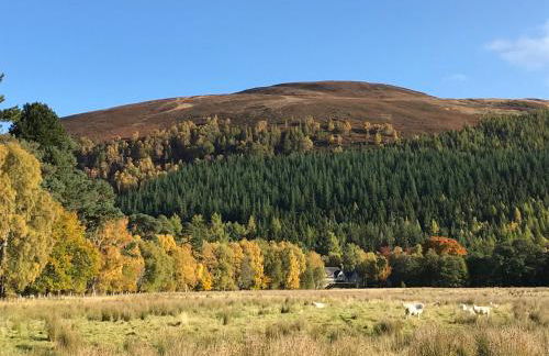 Rowan Cottage, CrannachCottages - Foto 23