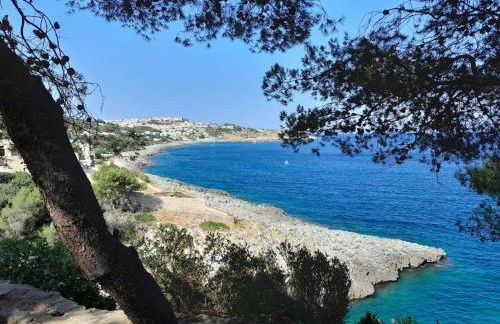 Il Gelso Bianco - Foto 32