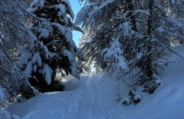 Cá de Lares - Foto 21