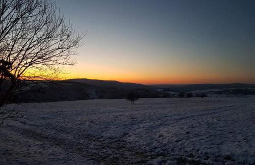 Jabłoniowy Sad Kalwaria Pacławska - Foto 26