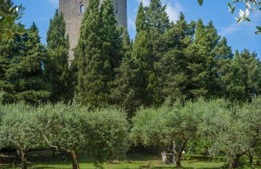 Torre dei Belforti - Foto 1