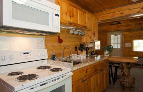 Remington Retreat by KABINO Dog Friendly FirePit Sleeper Sofa WiFi Grill - Foto 14