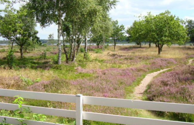 8 Person Holiday Home in Hojslev-by Traum - Foto 35