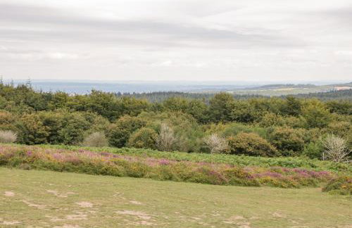 Heathfield - Foto 38