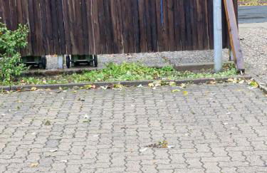 Ferienbutzen Harz in Sieber - Foto 23