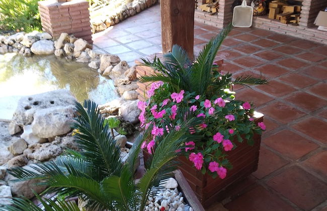 Cortijo Veracruz - Photo 2