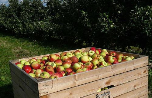Ferienwohnung Rudis Obstgarten - Foto 12