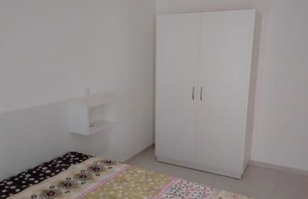 Bele vie 2 prainha - Photo 10