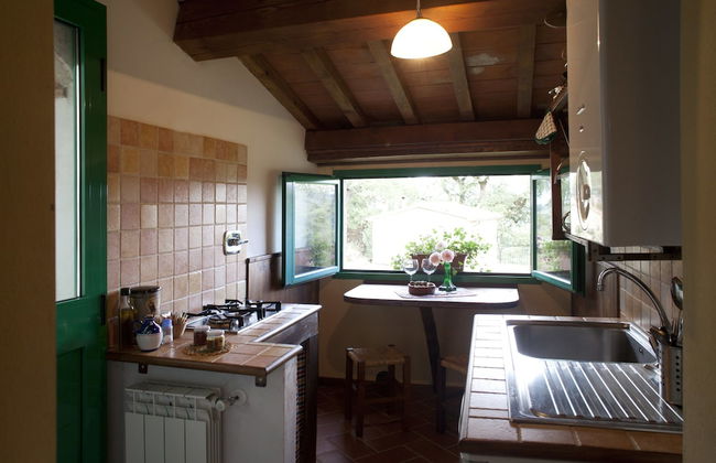 Antico Silbule - Photo 15