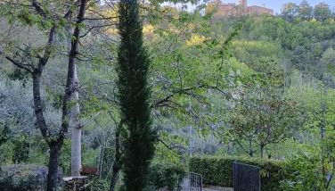 La Ripa delle Janare - Foto 3, Garden