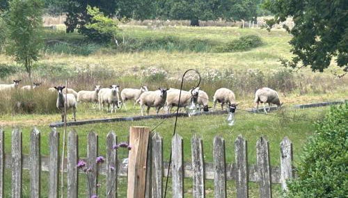 Oak Crest, 2 bedrooms, log fire, scenic views near Chapel Down - Foto 5