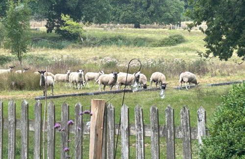 Oak Crest, 2 bedrooms, log fire, scenic views near Chapel Down - Foto 5