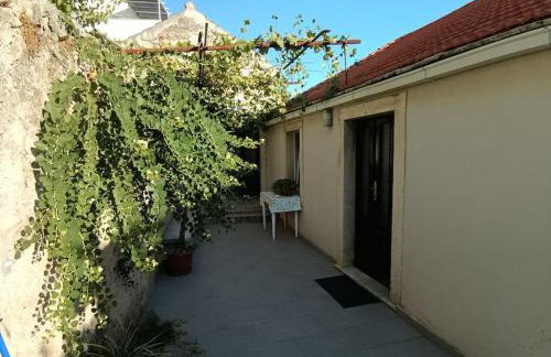 captain Ivo - Foto 13