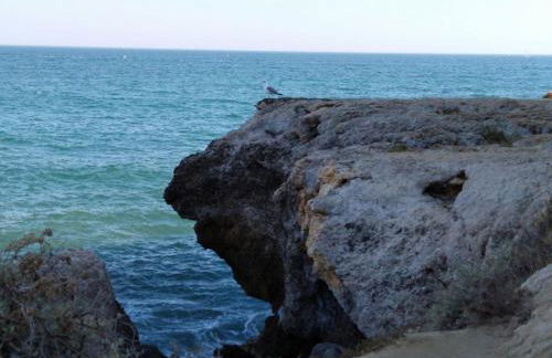 Corcovada, Sunny and Bright T1 with Large Terrace, Albufeira - Foto 28