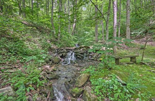 Creekside Cabin with Deck in Pisgah Forest! - Foto 21