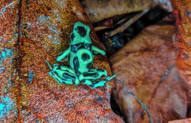 Villa Paraíso - Foto 33