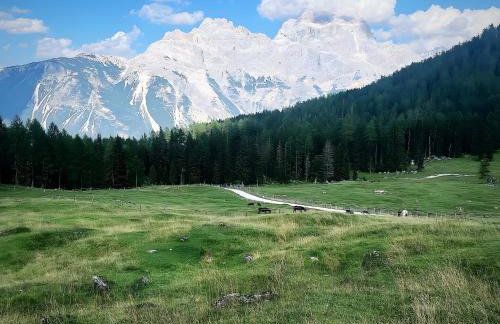 Casetta del Caregon a Vinigo - Foto 41