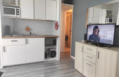 Les Petits Becs , joli T2 Vue mer, Wifi, Parking - Foto 5