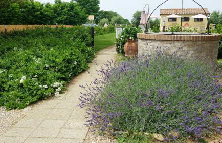 Punta dei Lecci - Foto 26