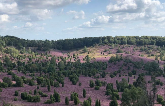 Heidetraum in der Pension Heidetraum - Photo 15