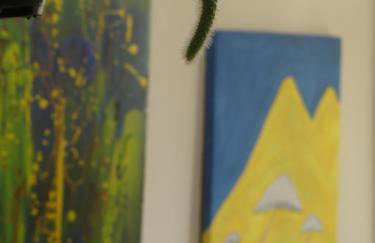 Tiny House Rio - Foto 40