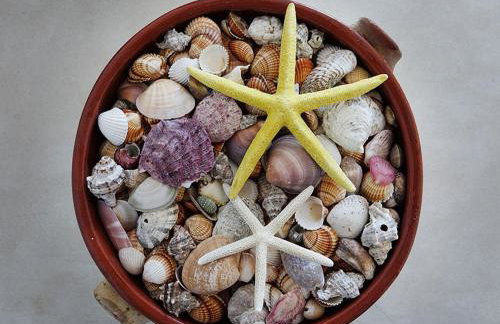 Flora Apartments - Photo 23