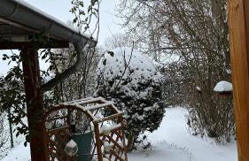 Ferienwohnung Juttchen - Photo 41