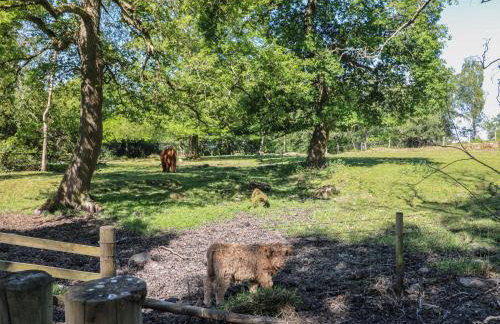 The White Cloud Bus - Foto 25