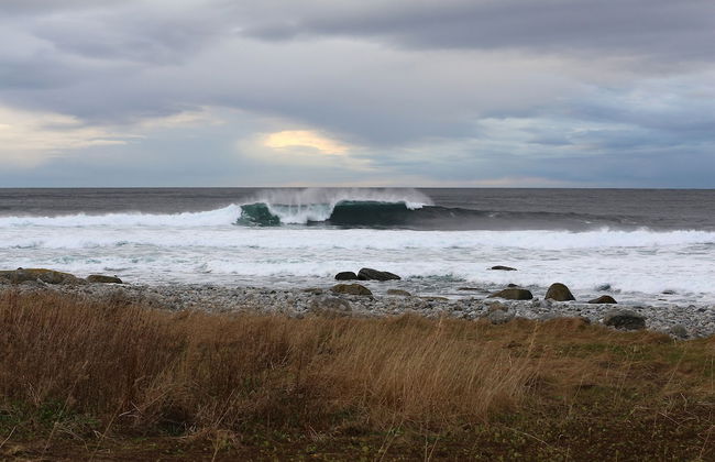 Alnes Gård - Photo 78