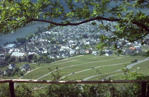 Gästehaus Steuer - Foto 12