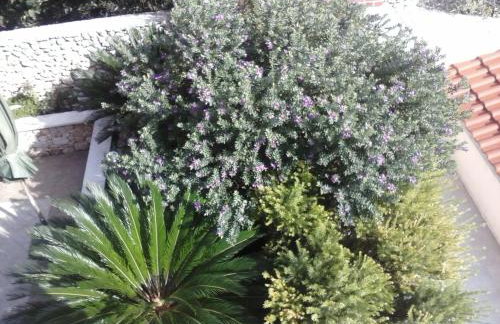 Apartments Borovina - Foto 23