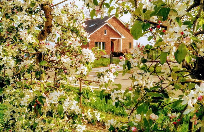 De Oude Katsei - Foto 4