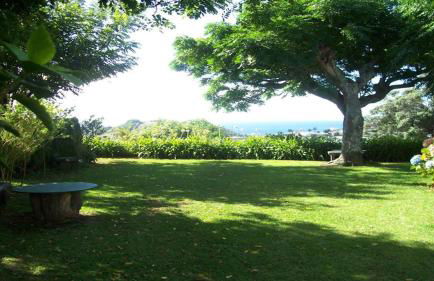 Quinta das Bolas - Photo 73