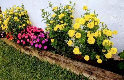 Sítio Recanto do Araçá - Foto 36