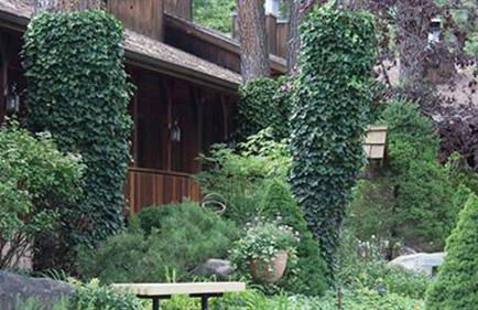 Shadow Mountain Lodge and Cabins - Foto 21