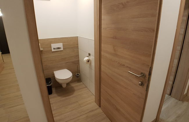 David Suiten - Foto 34